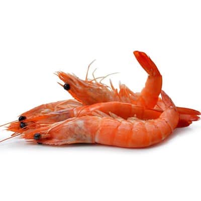 שרימפס שלם עם ראש 全虾